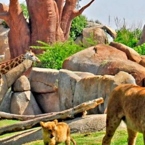 11 mejores zoos de España