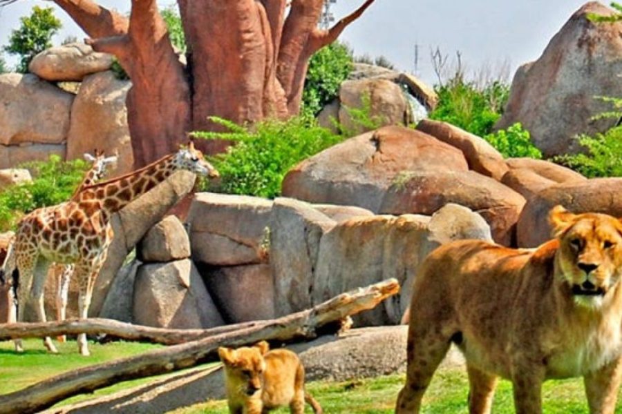 11 mejores zoos de España
