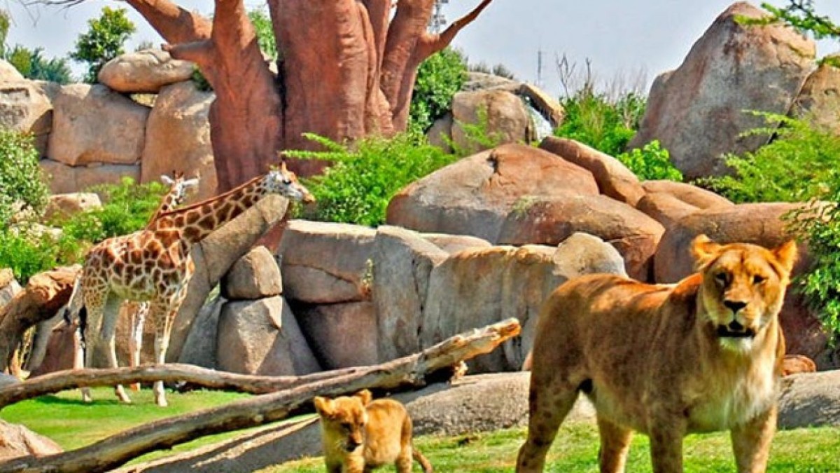 11 mejores zoos de España